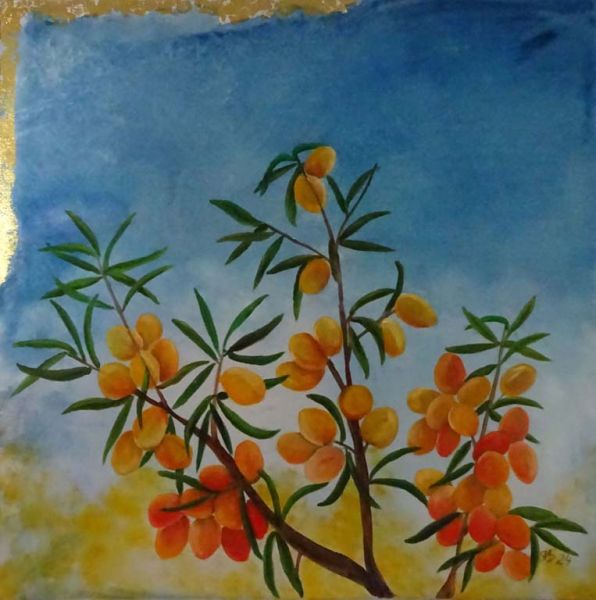 Bild